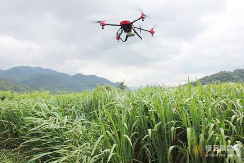 植保无人机对比试验完成