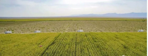 走入歧途的植保无人机该如何回归正路