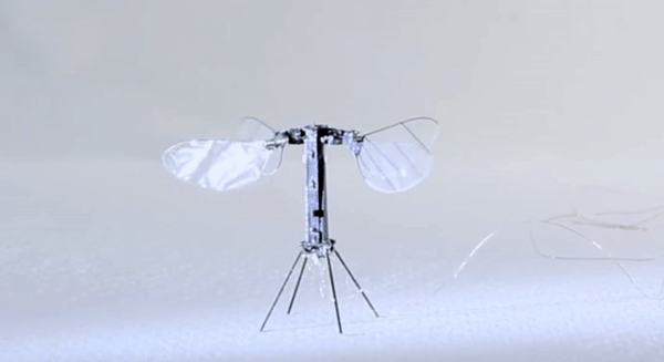 史上最轻无人机登上Nature封面：比回形针还轻，自带太阳能系统，实现无缆飞行 