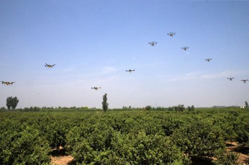 2019中国（巨鹿）无人机与机器人应用大赛——植保无人机专项赛”决赛在河北巨鹿举行