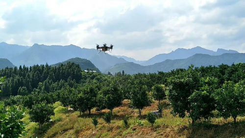 两条路线下的200亿植保无人机江湖 