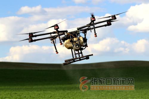 塞北：无人机植保促增收 