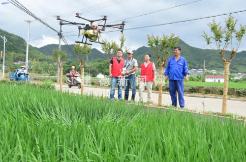 植保无人机 防虫好帮手