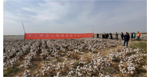 兵团第十二师率先打造“兵团无人机植保标准”，蜂巢农科全程助力行业规范