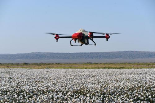 极飞科技秋收起“翼”，推动农村技术革命