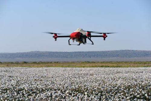极飞秋收起“翼”带无人机下乡 代替拖拉机避免棉花减产