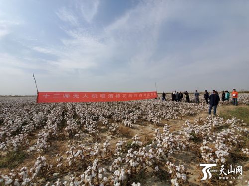 兵团第十二师率先打造“兵团无人机植保标准” 