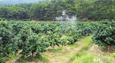 植保无人机成了现代农民“新宠”