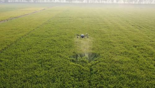 现在打药，都用植保无人机了！