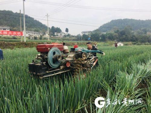 无人机植保、自动插秧机……农业机械化助推贵州农业发展 