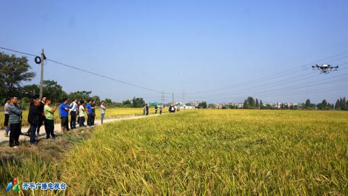  新型植保无人机技术在开平推广推动农业种植增效