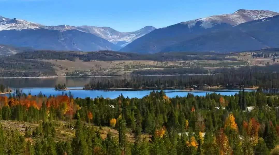 飞机排队洗热水澡；新西兰首次起用无人机执法