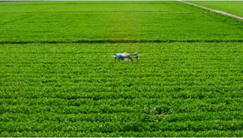 完整攻略 手把手教你如何申领植保无人机补贴