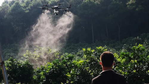 植保无人机能不能打柑橘红蜘蛛，事实来说话