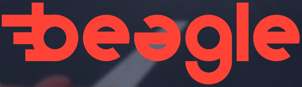 德国Beagle Systems公司