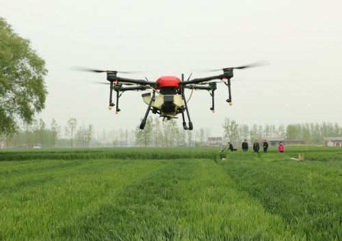 江苏洪泽：植保无人机助力小麦病虫防治