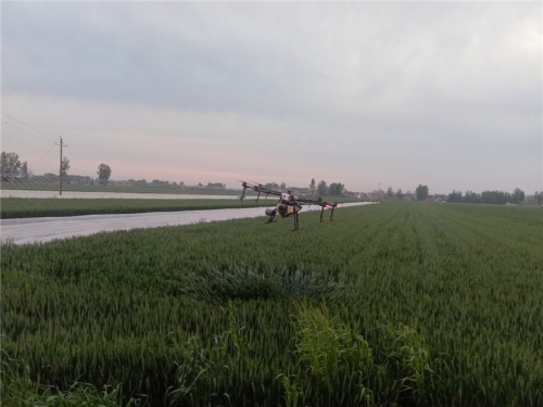 李口镇：“植保无人机”助力麦田管理作用大