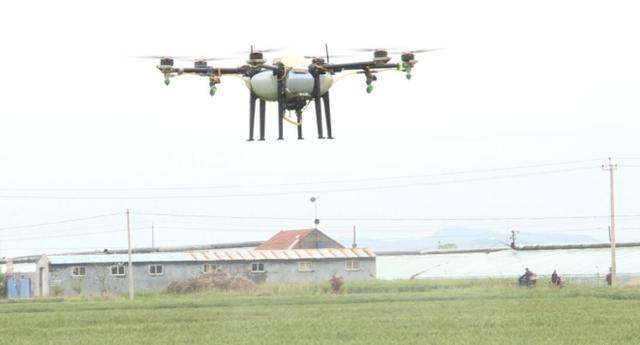 海阳无人植保机高空作业3天喷施防虫农药3千亩