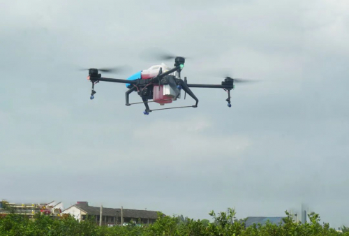 浙江省植保站联合启飞智能共同探讨柑橘植保无人机作业标准