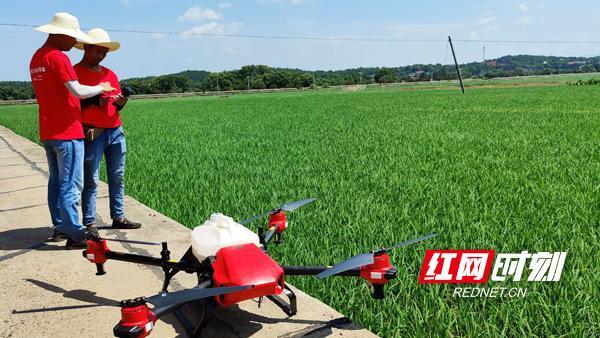 衡南县：贫困户变植保“飞手”无人机成脱贫“帮手”