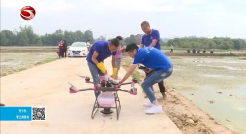 石蟆镇：天鹰兄弟植保无人机让水稻直播更省时省力省钱