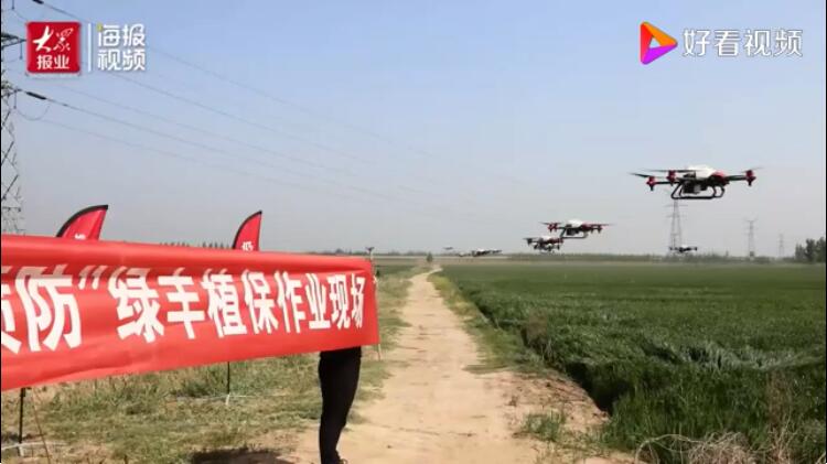 植保无人机成田间地头“新宠” 一个“农民飞手”一天能植保700多亩地