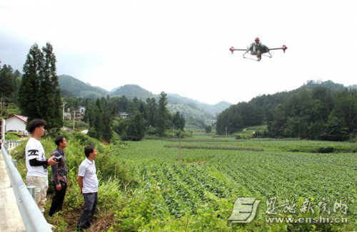 无人机植保