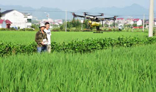 植保无人机 种粮好帮手