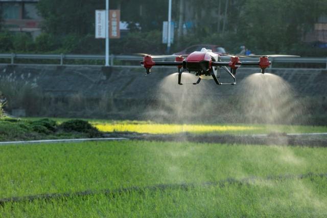 植保无人机飞防小麦田阔叶杂草你该清楚这些事