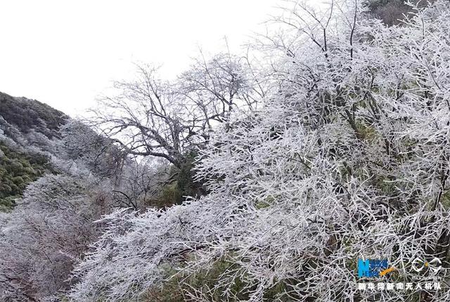 新华网：无人机航拍重庆金佛山 漫山雾凇如画