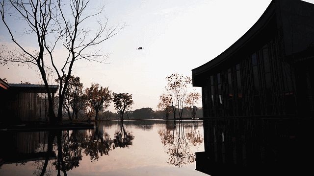 亿航智能启动城市空中交通自主运营服务，携手绿地香港开展空中游览项目