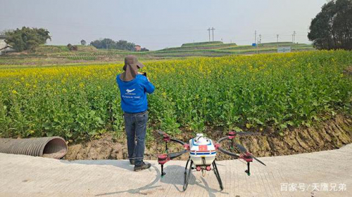 不负好春光 油菜花里天鹰兄弟植保无人机备耕忙