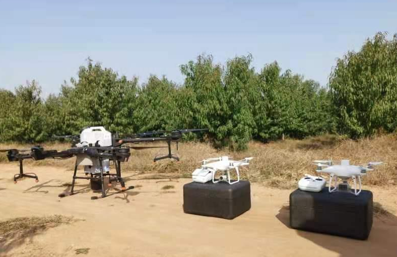 临朐县农业农村局利用无人机开展植保飞防服务— 飞 出服务三农新高度