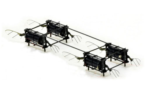 麻省理工学院研制出最新一代昆虫仿生无人机