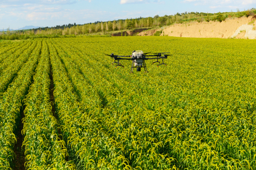 赤峰市植保无人机飞防发展迅速