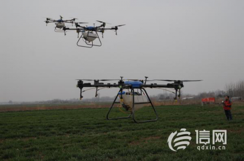 助力小麦“一喷三防”作业 即墨用上了智能植保无人机