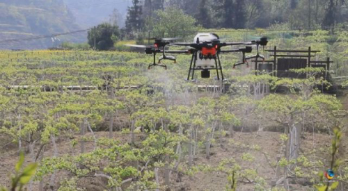 六枝：植保无人机护航产业发展