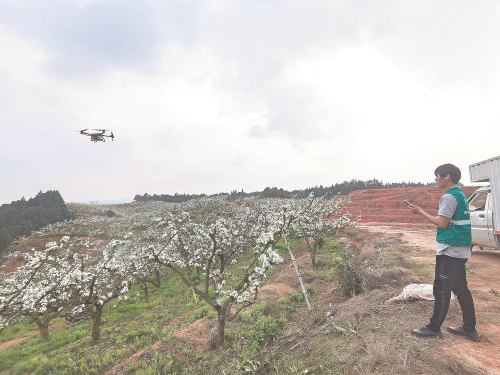 三明建宁县：无人机植保 受农民欢迎