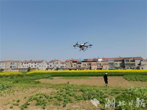 云梦村民自购无人机学植保技术