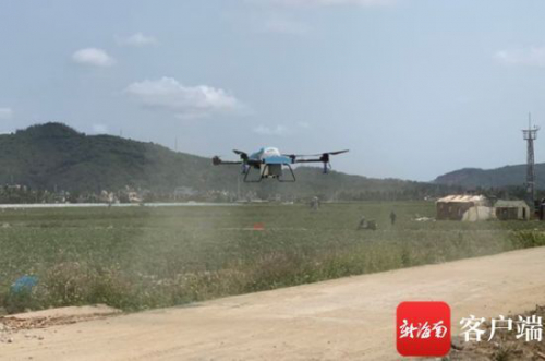 陵水举行植保无人机飞防培训 给农业插上科技翅膀