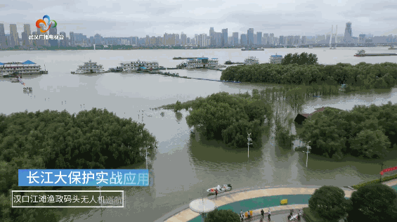 武汉经视独家专访普宙：国产无人机迎黄金期！武汉本土企业在“起飞”