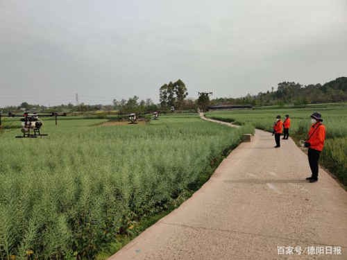 无人机植保助力春耕提质增效 科技赋能 “智慧农业”未来可期