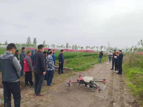 植保无人机助力“一喷三防”，扎实做好小麦条锈病防控