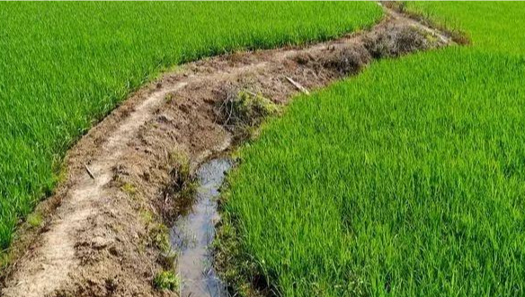 极飞农业无人机作业安全操作规范