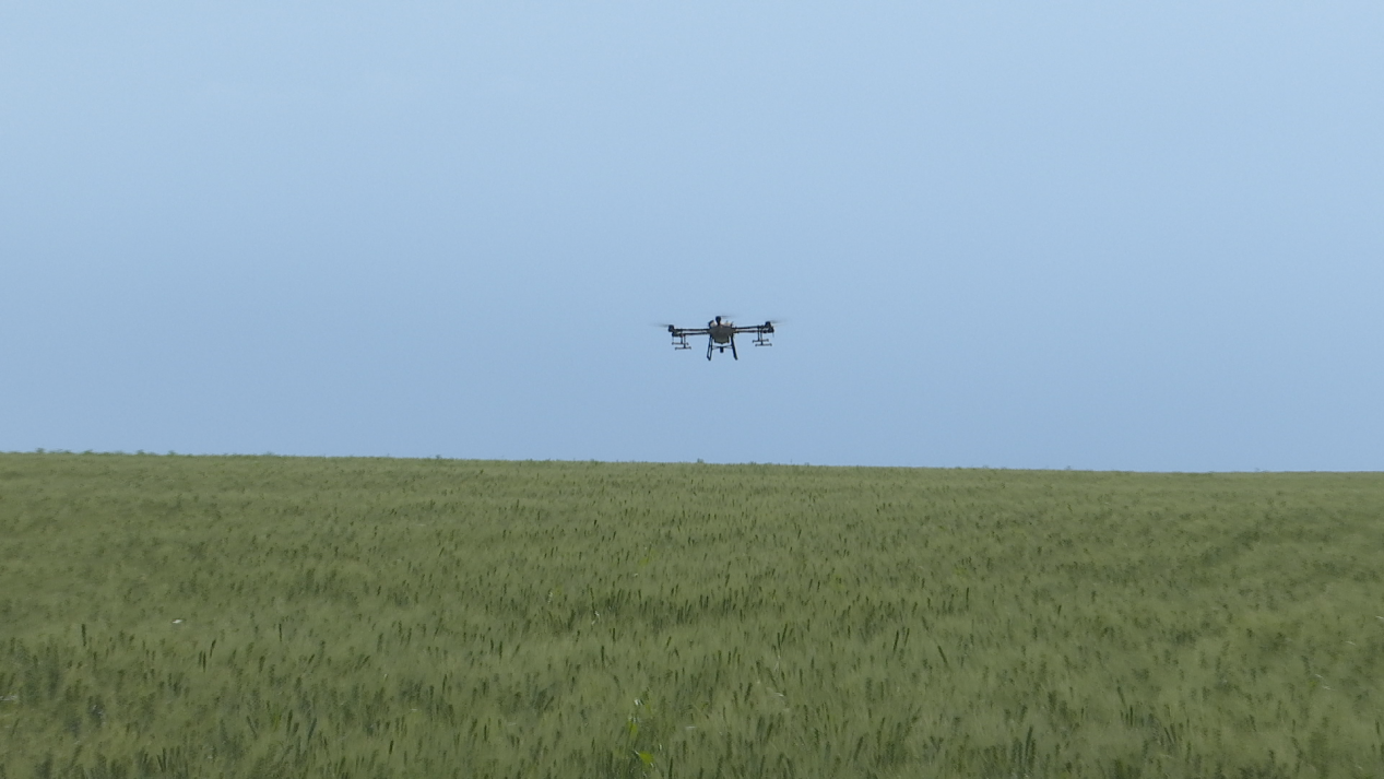 尼勒克县：植保无人机助推智慧绿色农业发展