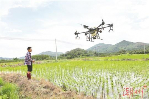 植保无人机 飞到农田里