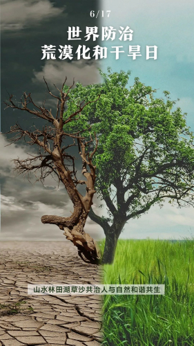 大疆农业：绿了绿了！不要 “荒”