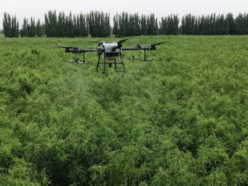 若羌：植保无人机施肥 智慧农业好帮手