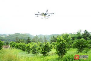 荣县：无人机植保服务助力乡村振兴
