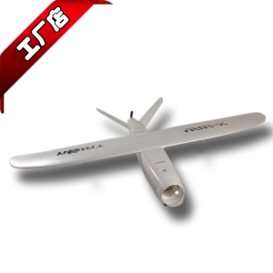 天捷力 大胖 死胖子